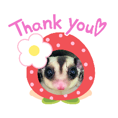 Natsumi_20230702023208