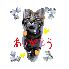 nao_20230702135643