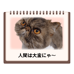 KOTOBUKIYA_20230702123246