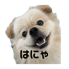 natsumi_20230702161629