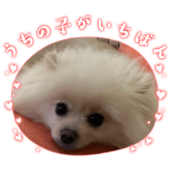 - ̗̀  ☆&nbsp; &nbsp;̖́‐