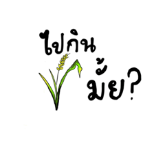 KATAII_20230702151617