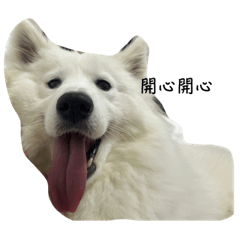 嚕米米的酸甜苦辣