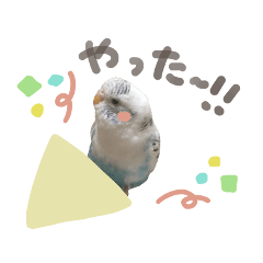 coco's sticker2023