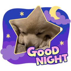 yukari_20230702203232