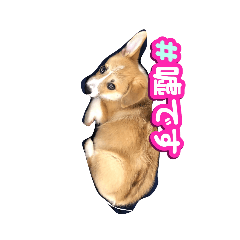 aoi_20230702210124