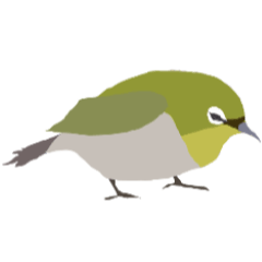 White-eye bird Mejiro2