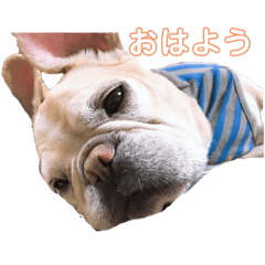 Megumi_20230702190953