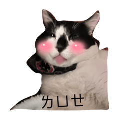黑白錢