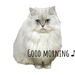 shiho_20230702235611