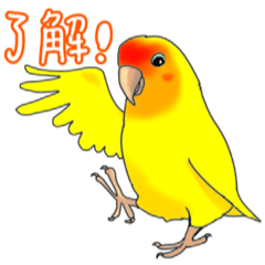 The colorful rosy love bird sticker