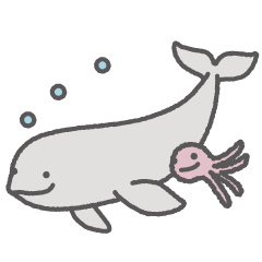 Happy finless porpoise