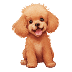 Toy poodle-daily stickers