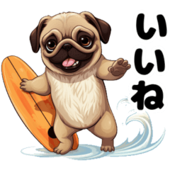 Pug surfer
