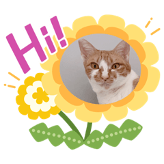 大家好，我們是拉花姐妹，成員是拉麵和雪花