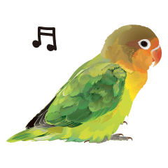 Parrots with Japanese slangs2