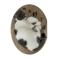 我叫荳荳 今年3歲