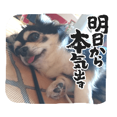 れいちゃむ詰め合わせ☆