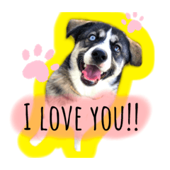 Sunny_20230703205849