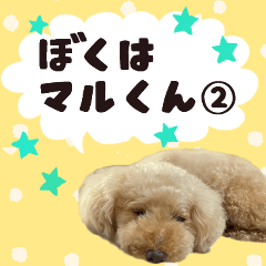 My little happy dog, "Maru" - ver.2