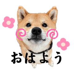 saori_20230704160344