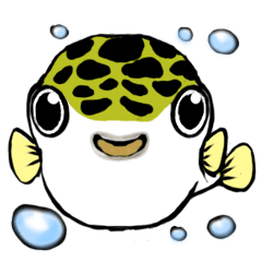 Puffer fish and summer in my home