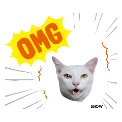 king of Hon_20230704151047