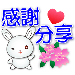 Cute white rabbit-happy and practical