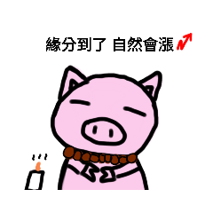 膨風豬（日常篇）