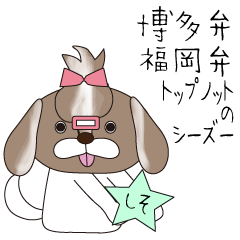 Hakata accent messages & ShihTzu dog