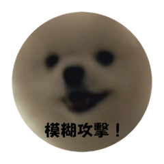 圓圓大冒險
