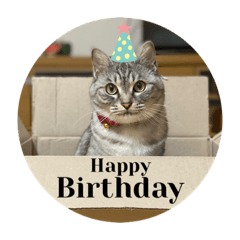 Chihiro Kuraseko_20230704211855