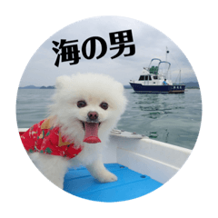 fuwafuwajun_20230704235900