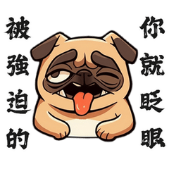 The ugliest Pug - Daily provocations
