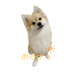 nozomi_20230705131237