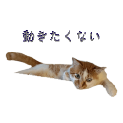 Yun_20230705130328