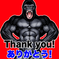 Musclemacho gorilla English and Japanese
