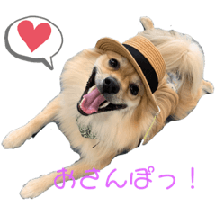 nozomi_20230705131601