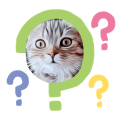 Koya&kokhao no.1_20230704195342