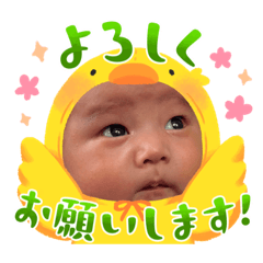 Ao-blue55