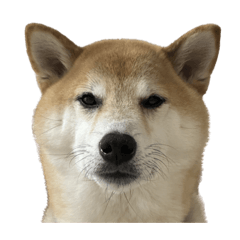 yuka_20230705165932