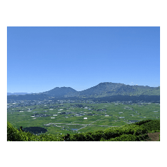 shirasu_20230705155635