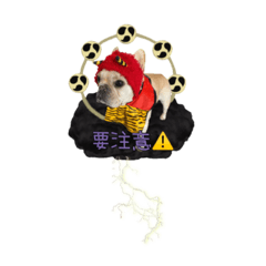 yuka_20230705164747