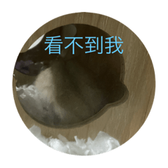 可愛的奶茶鼠鼠