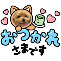 favorite dog uru_20230705221836