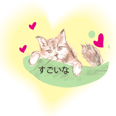 colored pencil sketches of cats