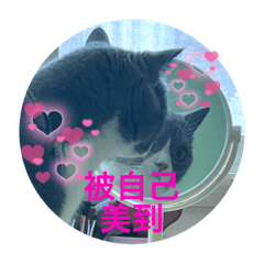 ou yi
