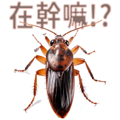 Insect series stickers - cockroach