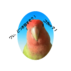 Yuhei_20230704220453