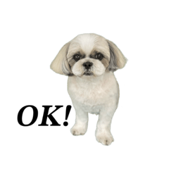 yuka_20230705225609